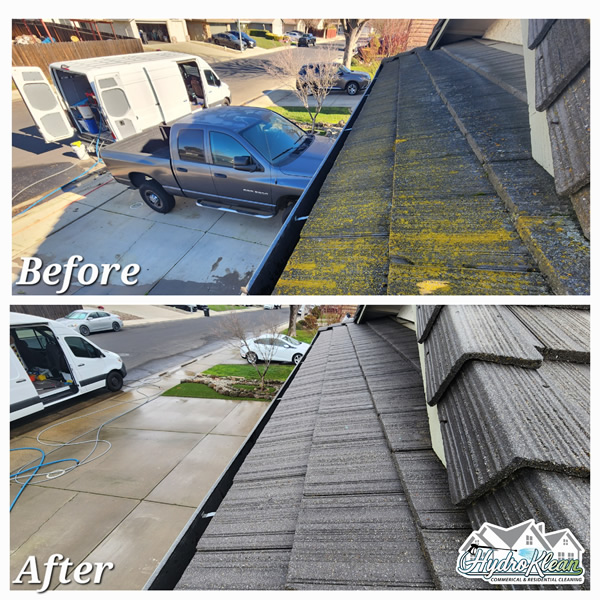 Roof Washing