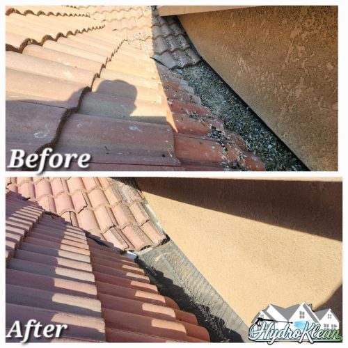 Roof cleaning and bird proofing Merced