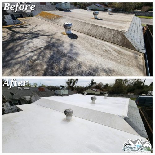 Softwashing Roof Cleaning TPO