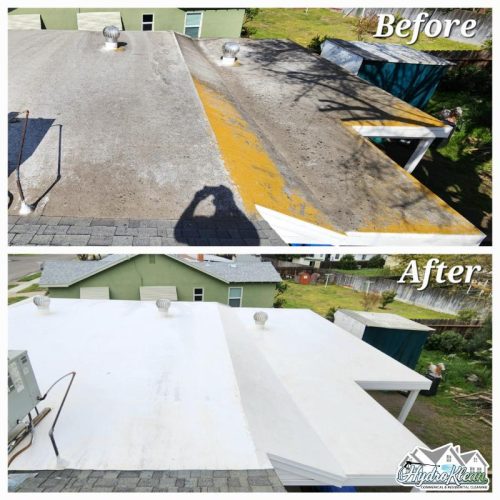 Softwashing Roof Cleaning TPO 1