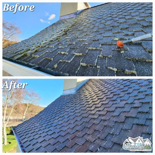 Softwashing roof cleaning Salinas 7